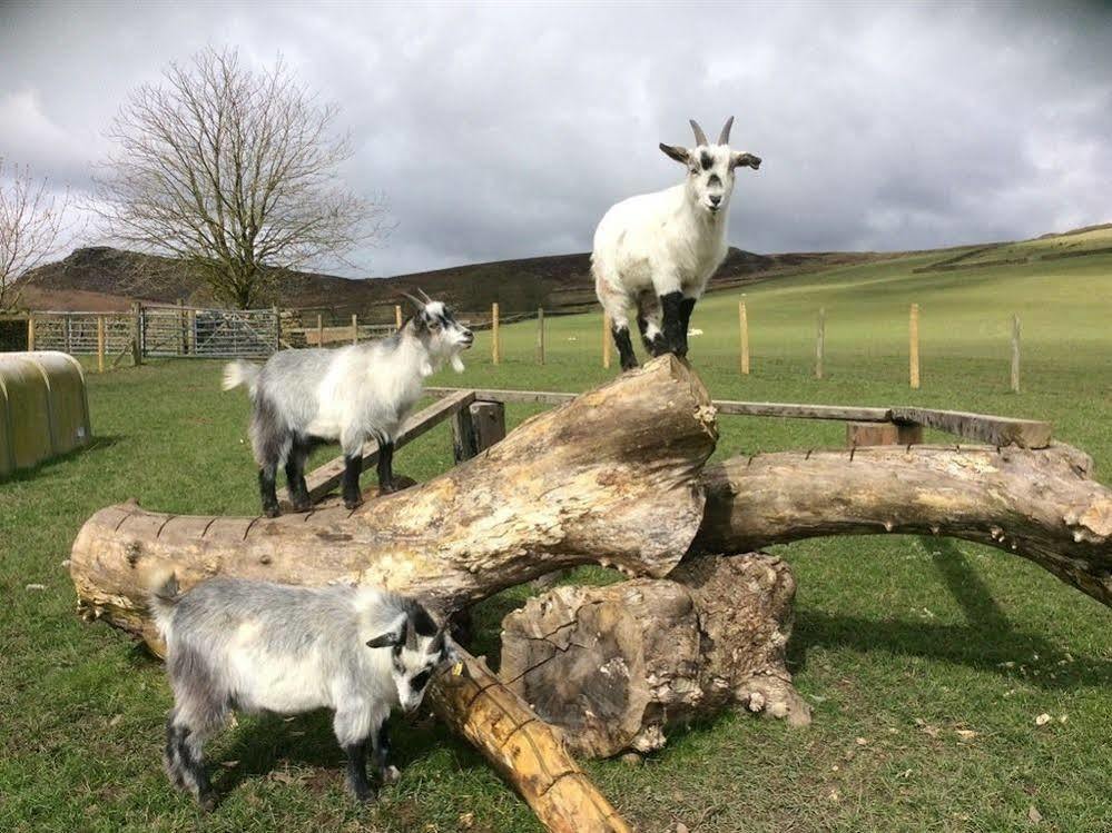 Bondcroft Farm Bed & Breakfast
