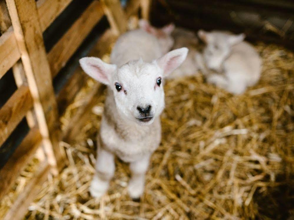 Bondcroft Farm Bed & Breakfast Embsay